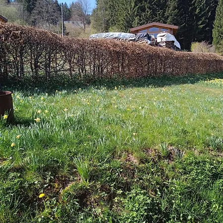 Σαλέ Du Poli, Proche Pistes *